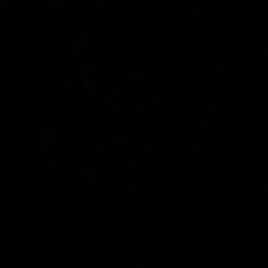 Meet your Posher, Estefani